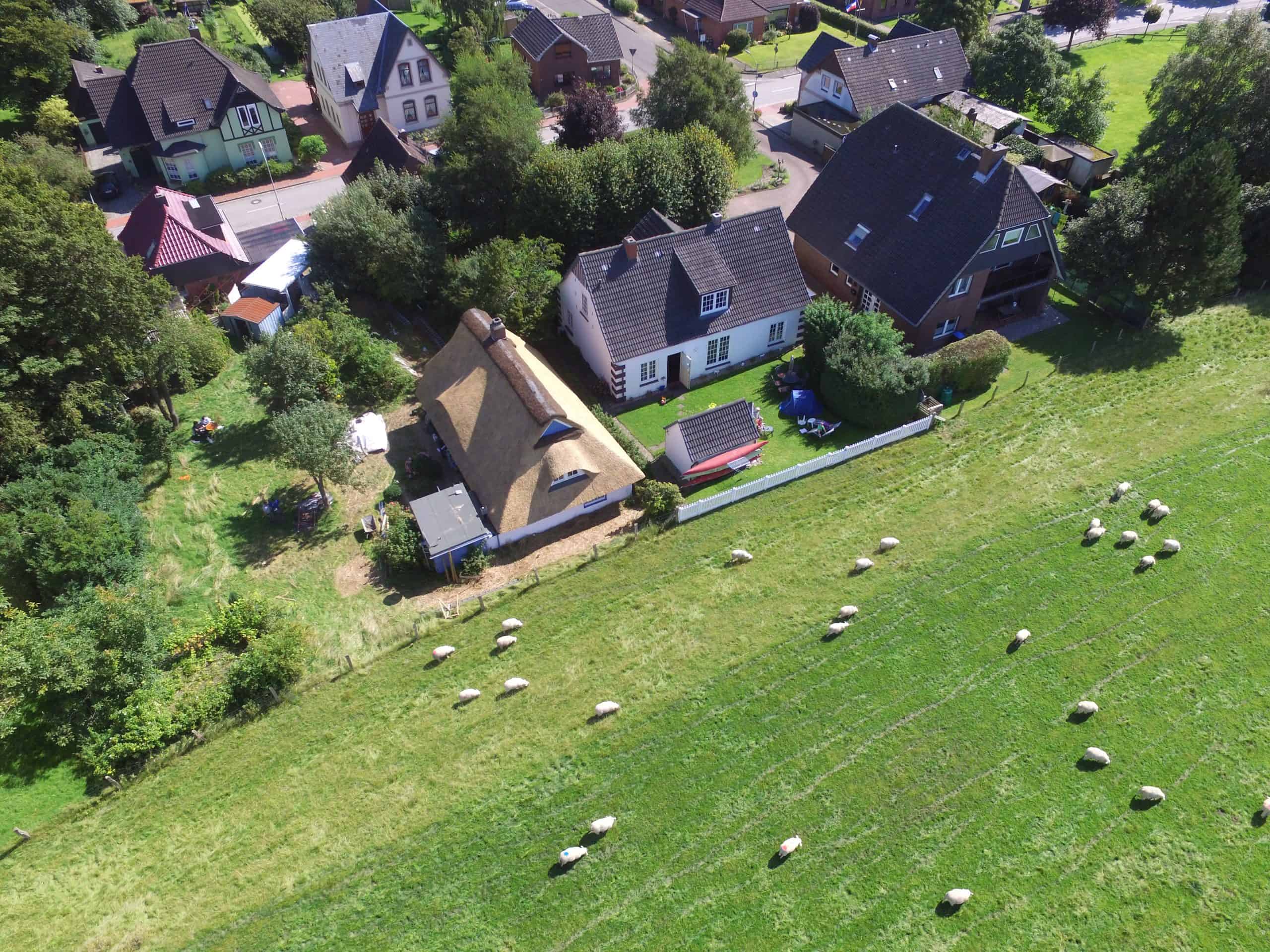 Traditionelles Reetdachhaus in ländlicher Umgebung mit Weideflächen.