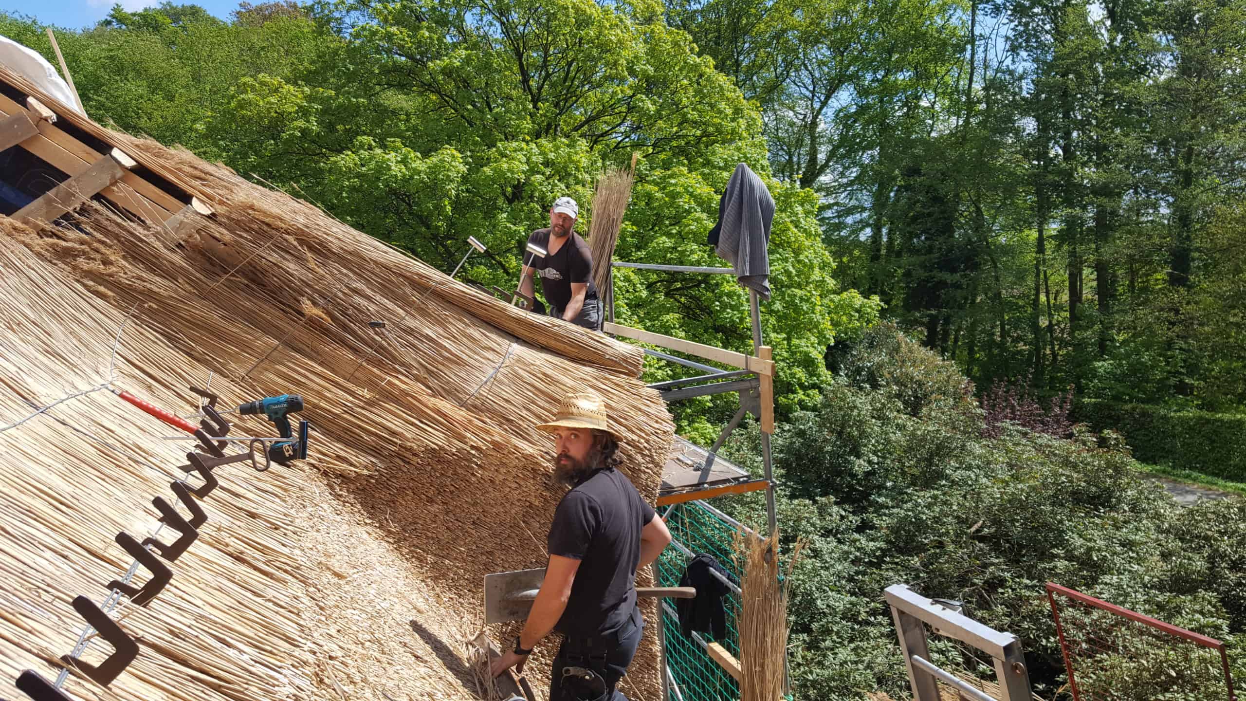 Reetdachdecker bei der Reparatur eines Reetdachs im Kreis Steinburg.