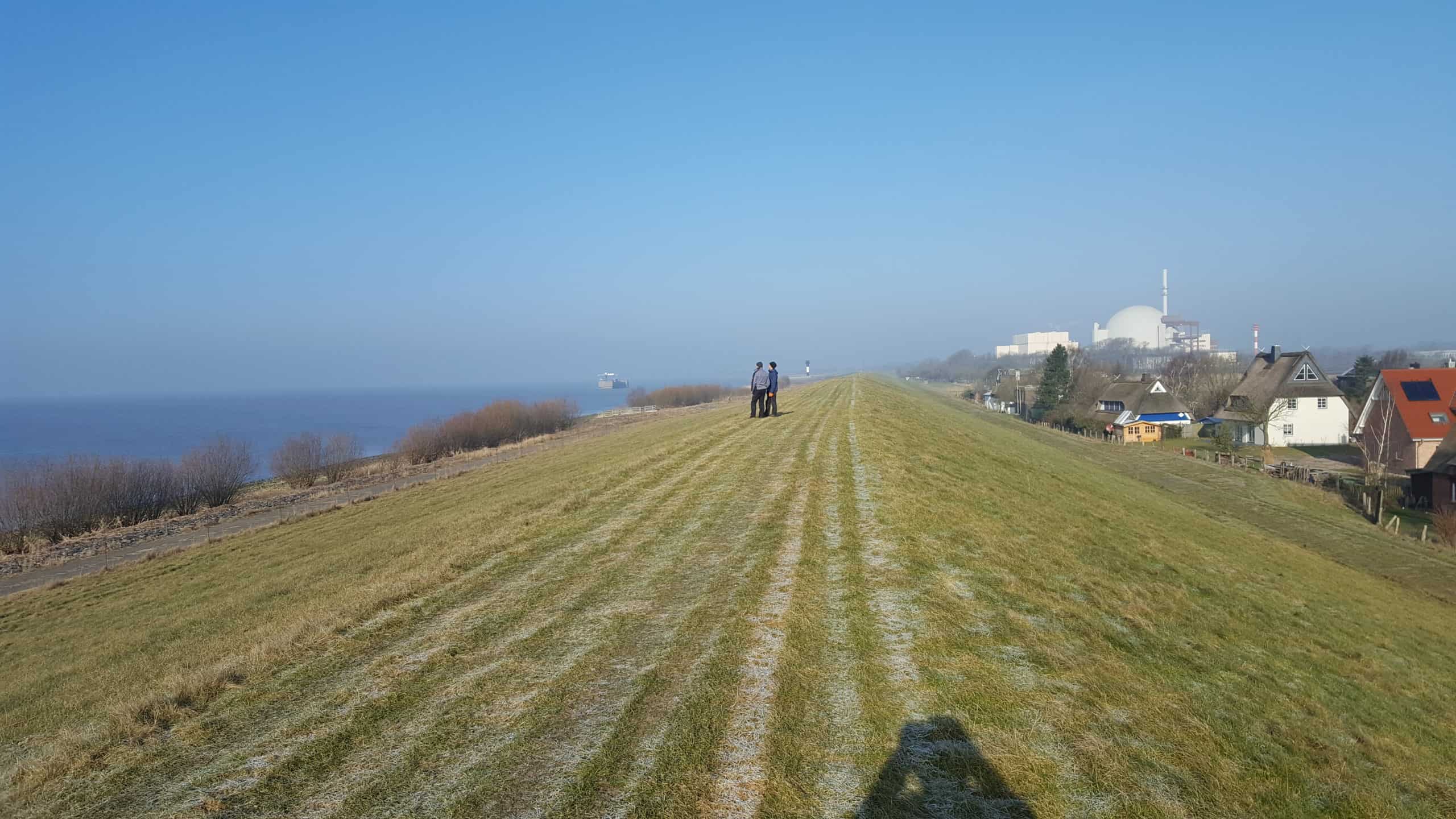 Reetdachdecker bei Arbeit an einem Reetdach im Kreis Steinburg.