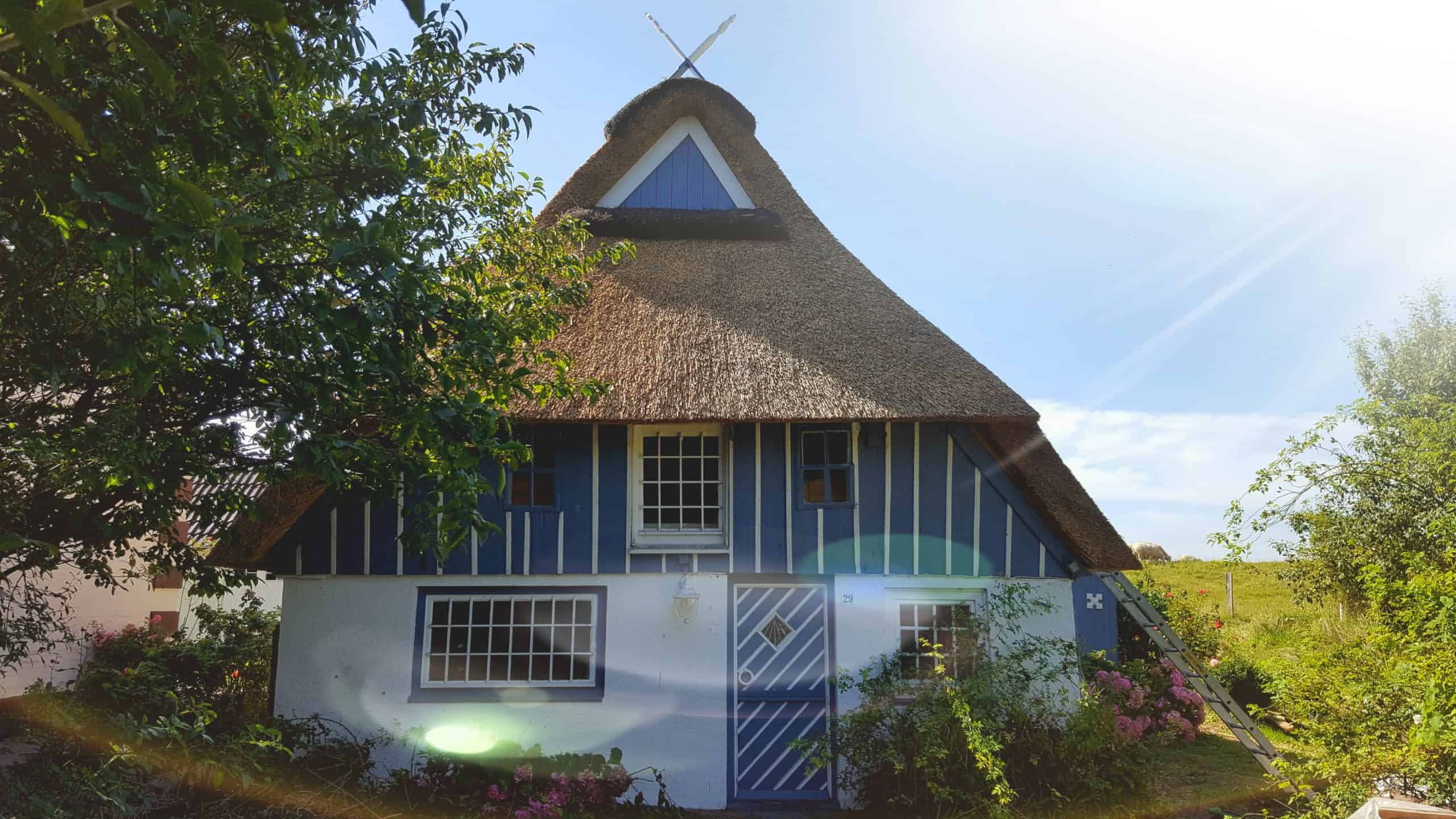 Traditionelles Reetdachhaus mit blauer Fassade und Gärten.